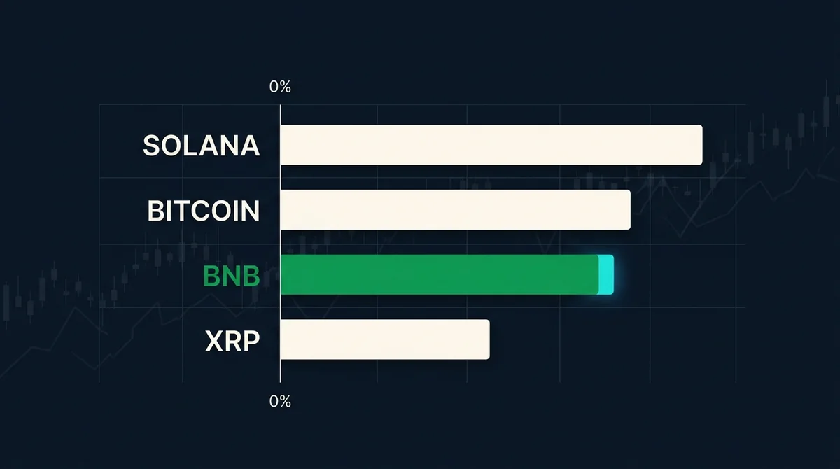 主要加密资产过去30天涨幅对比横向柱状图，标注XRP、Solana、Bitcoin、BNB