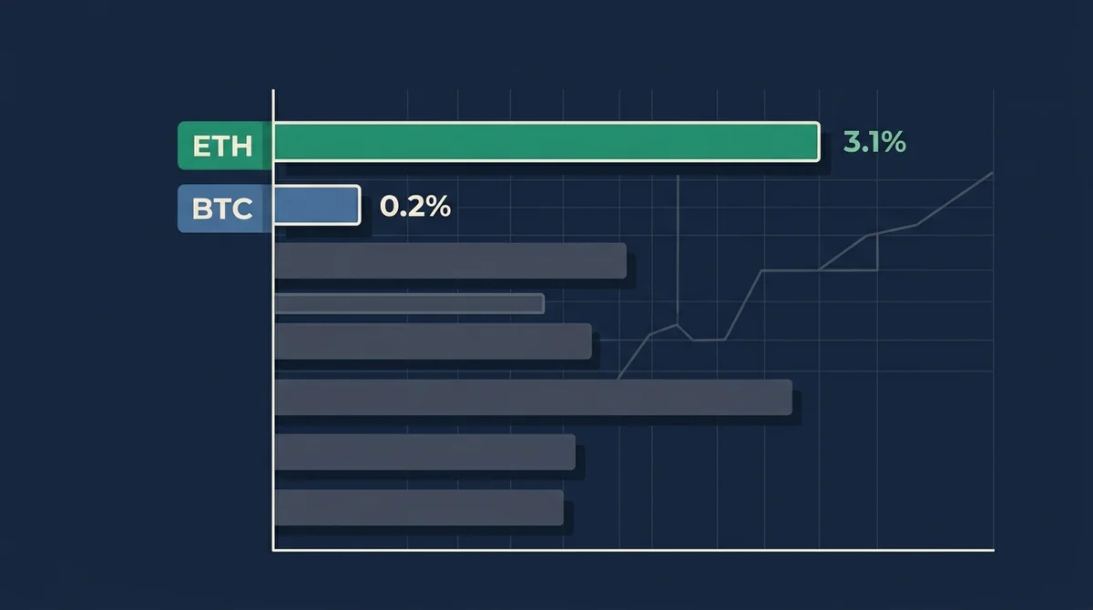 加密资产与相关股票反弹幅度对比图:ETH上涨3.1%、BTC上涨0.2%,其他加密矿企与平台股涨幅用不同长度色条表示但不在图中标注名称,仅保留ETH和BTC两个短标签及百分比数值